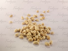 Peanut Peanuts on a white background image preview