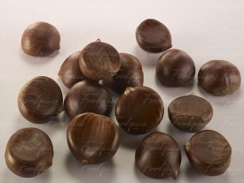 Chestnuts Chestnuts on white background preview