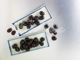 Jamun Wet black plums in top angle preview