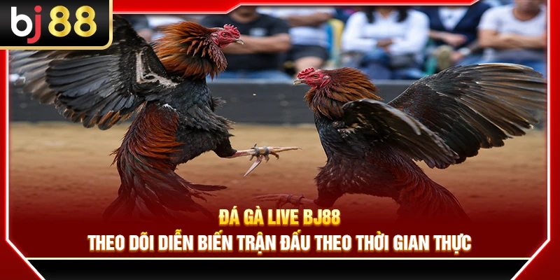 Đá Gà Live BJ88 – Theo Dõi Diễn Biến Trận Đấu Theo Thời Gian Thực 4 Đá Gà Live BJ88 – Theo Dõi Diễn Biến Trận Đấu Theo Thời Gian Thực