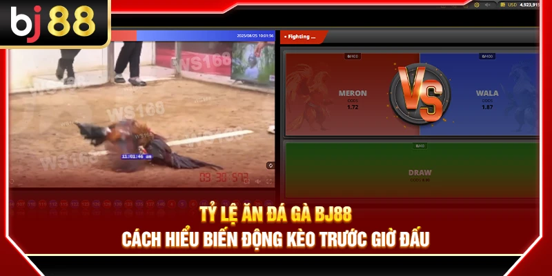 Tỷ Lệ Ăn Đá Gà BJ88 – Cách Hiểu Biến Động Kèo Trước Giờ Đấu 2 Tỷ Lệ Ăn Đá Gà BJ88 – Cách Hiểu Biến Động Kèo Trước Giờ Đấu