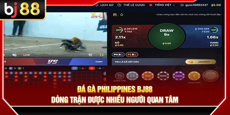 Đá Gà Philippines BJ88 – Dòng Trận Được Nhiều Người Quan Tâm 1 Đá Gà Philippines BJ88 – Dòng Trận Được Nhiều Người Quan Tâm