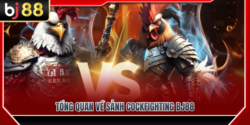 Cockfighting BJ88 1 Giới thiệu sơ nét về sảnh đá gà đỉnh cao BJ 88