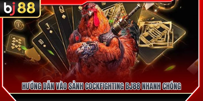 Cockfighting BJ88 2 Các bước truy cập cockfighting BJ88 siêu tốc