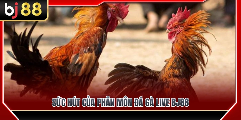 Đá Gà Live BJ88 – Theo Dõi Diễn Biến Trận Đấu Theo Thời Gian Thực 2 Giải mã sức hút mạnh mẽ của chuyên mục đá gà live BJ88
