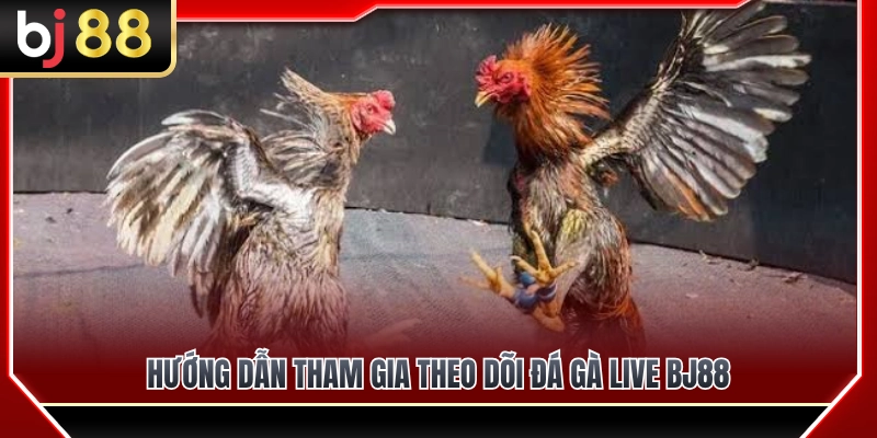 Đá Gà Live BJ88 – Theo Dõi Diễn Biến Trận Đấu Theo Thời Gian Thực 4 Hướng dẫn chi tiết các bước truy cập xem đá gà live BJ88