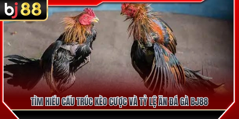 Tỷ Lệ Ăn Đá Gà BJ88 – Cách Hiểu Biến Động Kèo Trước Giờ Đấu 2 Khám phá cấu trúc bảng kèo và tỷ lệ ăn đá gà BJ88