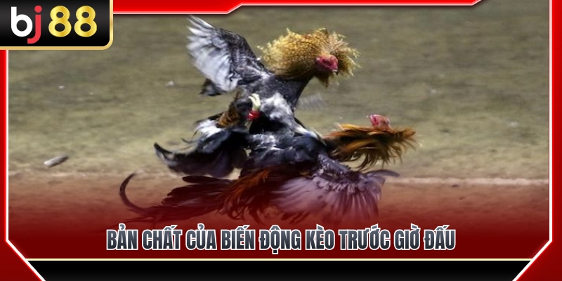 Tỷ Lệ Ăn Đá Gà BJ88 – Cách Hiểu Biến Động Kèo Trước Giờ Đấu 4 Bản chất sự biến động kèo ngay trước thời điểm trận đấu bắt đầu
